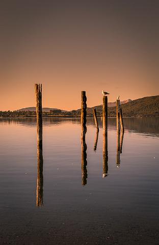 035 Te Anau.jpg